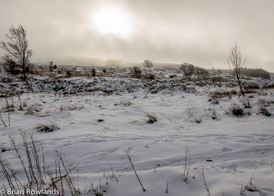 Winter Moor-1