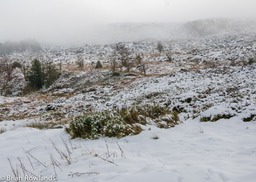 Winter Moor-3