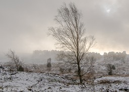 Winter Moor-5